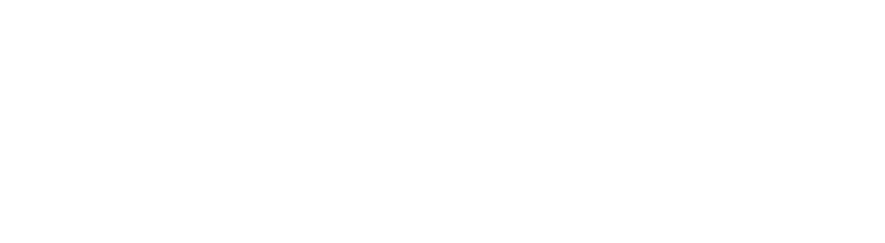 HiFleet